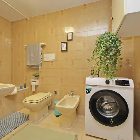 Giant Cola Di Rienzo *